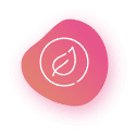 OTT & Video-on-Demand Platforms